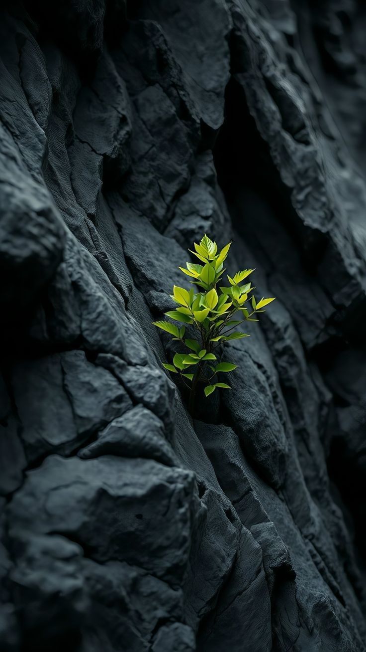 Darbas tarp vyrų ir pasekmės sveikatai
