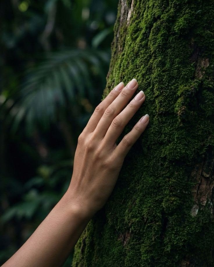Gyvybė – asmeninis augimas ir savęs pažinimas