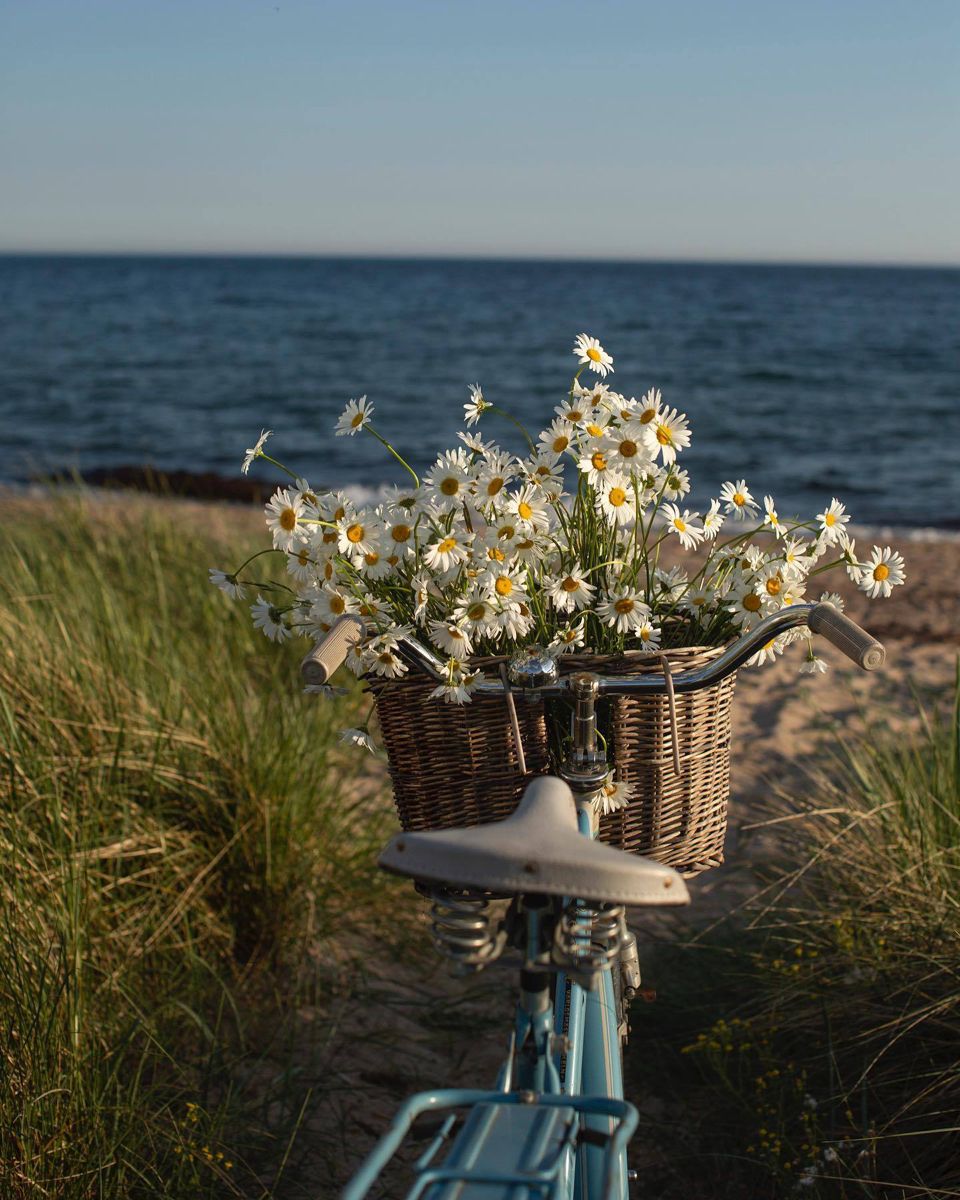 Kurjeris – arbatpinigiai ir įsižeminimas